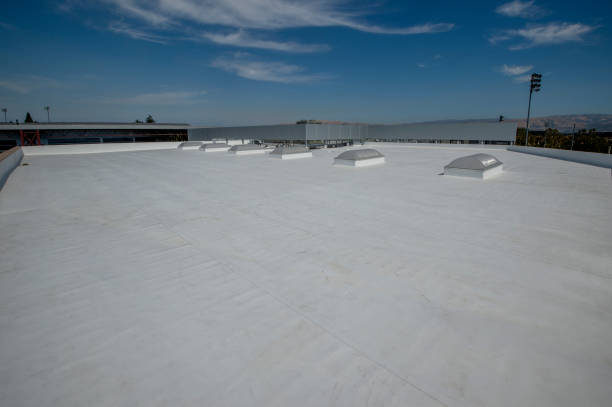 Asphalt Shingles Roofing in Lake Hallie, WI