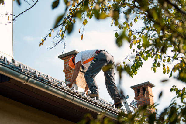Best Sheet Metal Roofing  in Lake Hallie, WI