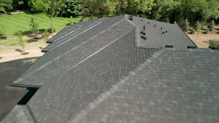 Best Green or Eco-Friendly Roofing Solutions  in Lake Hallie, WI