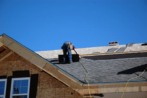 Best Chimney Flashing Repair  in Lake Hallie, WI