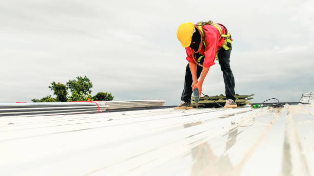 Best Commercial Roofing Services  in Lake Hallie, WI