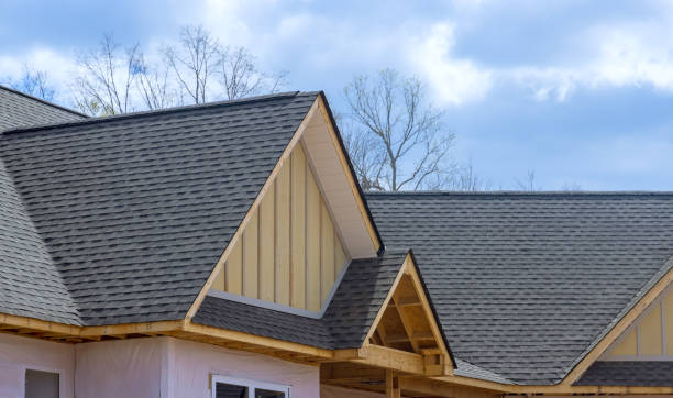Best Roof Coating and Sealing  in Lake Hallie, WI