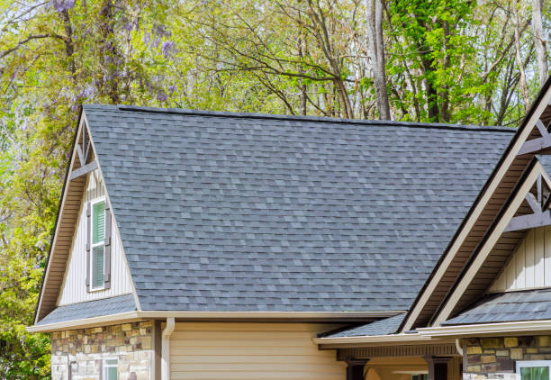 Best Roof Insulation Installation  in Lake Hallie, WI