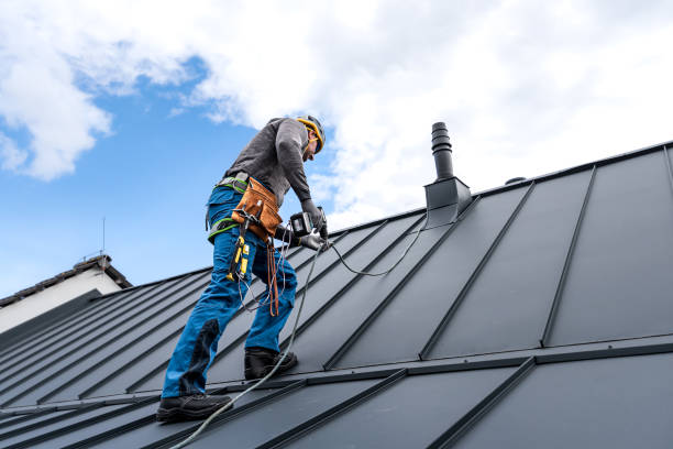 Best Roof Maintenance and Cleaning  in Lake Hallie, WI