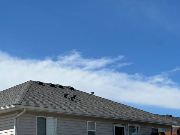 Best Roof Ventilation Installation  in Lake Hallie, WI